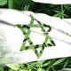 کشف بیست کیلو هروئین در اسرائیل