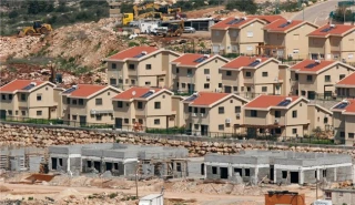 سازمان صلح اکنون گزارش داد:

تصویب ساخت بیش از ۱۱۰۰ واحد مسکونی جدید در کرانه باختری