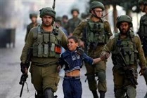 توصيات لجنة حقوق الانسان بشأن فلسطين