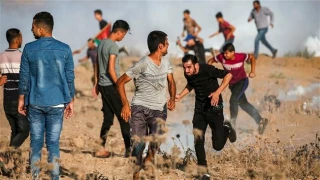 More than 50 Palestinian protesters injured by Israeli forces in Gaza