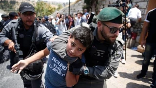 Palestinian child held for several weeks in solitary confinement at Israeli jail