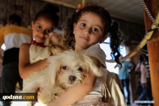 Pet exhibition held in Gaza City, Palestine
 2