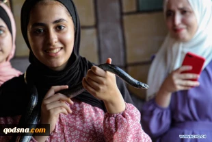 Pet exhibition held in Gaza City, Palestine
 5