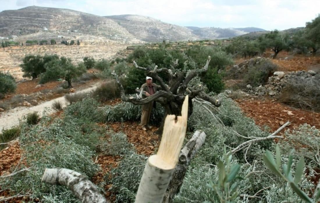 حمله شهرک‌نشینان اشغالگر به باغات زیتون در شرق سلفیت؛

رژیم صهیونیستی خانه یک اسیر فلسطینی دیگر را تخریب می‌کند