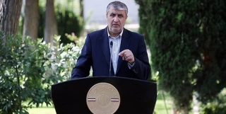 منظمة الطاقة الذرية: الصهاينة يطلقون المزاعم ضد ايران منذ اعوام طويلة