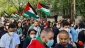 حامیان فلسطین در پایتخت دانمارک تظاهرات کردند