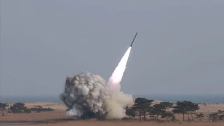 Yemen says fired batch of ballistic missiles into Israeli-occupied territories in support of Gaza