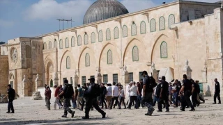 مستوطنون يقتحمون المسجد الأقصى والاحتلال يواصل اعتقالاته في الضفة
