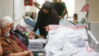 وزارت بهداشت غزه؛

می ترسیم ژنراتورهای برق بیمارستان های غزه از کار بیفتد