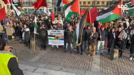 Protesters rally in Sweden in support of Palestine