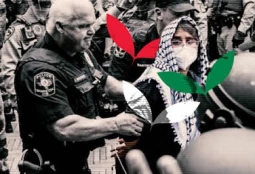 گزارش ویژه فلسطین در قلب منازعات داخلی آمریکا؛ تشدید تحرکات کنگره علیه تحریم رژیم صهیونیستی