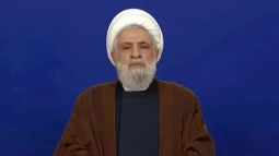 شیخ نعیم قاسم: مقاومت تنها راه آزادسازی سرزمین است؛ فلسطین مسئله محوری ماست