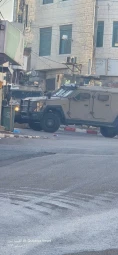 بازداشت گسترده در بدو و حبس ۵۳ فلسطینی