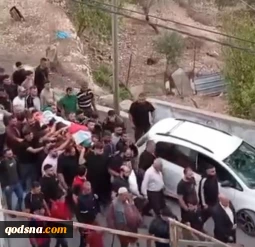 شمار شهدای حملات شهرک‌نشینان در سال ۲۰۲۶ از ۳۰ نفر گذشت