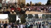 برگزاری باشکوه نماز عید سعید قربان در مسجدالاقصی و نوارغزه 4