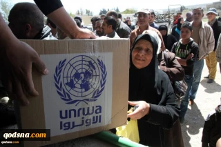 هشدار عفو بین الملل درباره وضعیت بحرانی آوارگان فلسطینی