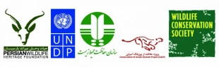 خیابان قدس ، بسته های خبری دوشنبه؛

کتاب خاطرات رهبرانقلاب به زبان عربی در بیروت /اشاره سید حسن نصرالله در سخنرانی روز چهارشنبه به کتاب رهبر انقلاب و توصیه به جوانان لبنانی / پایان گروگانگیری تجار سعودی در هتل کارلتون و باج گیری 100 میلیارد دلاری بن سلم