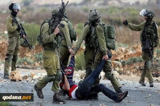 بازداشت ۸ فلسطینی در کرانه باختری
