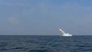 Iran Navy successfully fires cruise missile from submarine