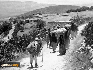 گزارش آماری درباره سالروز اشغال فلسطین(نکبت)-2

تعداد آوارگان و اردوگاه‌های در کشورهای مختلف/ یک میلیون بازداشتی از سال 1967 تا کنون/  اوضاع فاجعه بار نوار غزه از نظر فقر و بیکاری و بهداشت