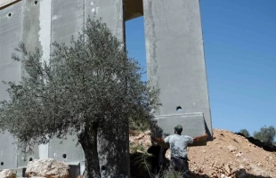 آخرین اخبار و تحولات فلسطین اشغالی؛

احداث دیوار بتنی 9 کیلومتری در اطراف شهرک صهیونیستی"سدیروت"/ شعار حمایت از قدس مردم فلسطین حین برگزاری مناسک حج/تخریب خانه اجرا کنندگان عملیات "عتیصون" توسط رژیم صهیونیستی/ پیوستن گروهی از اسراء فلسطینی به روند ادامه