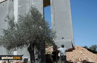 آخرین اخبار و تحولات فلسطین اشغالی؛

احداث دیوار بتنی 9 کیلومتری در اطراف شهرک صهیونیستی"سدیروت"/ شعار حمایت از قدس مردم فلسطین حین برگزاری مناسک حج/تخریب خانه اجرا کنندگان عملیات "عتیصون" توسط رژیم صهیونیستی/ پیوستن گروهی از اسراء فلسطینی به روند ادامه دار اعتصاب غذا در زندان های اسرائیل