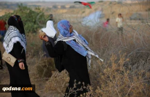 راهپیمایی ضد اشغالگری فلسطینیان در هفتاد و یکمین جمعه بازگشت+ تصاویر 5