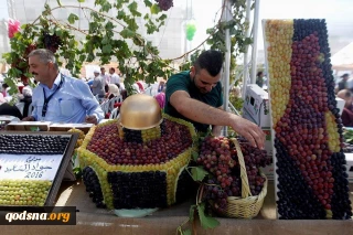 دومین محصول کشاورزی فلسطینی ها پس از زیتون + تصاویر