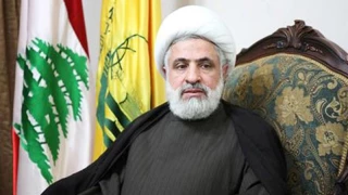 الشيخ قاسم: من حق شعوب المنطقة أن يقاوموا بكل الأساليب