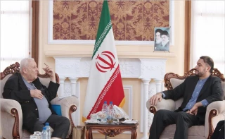 دیدار سفیر فلسطین در تهران با امیرعبداللهیان؛

امت اسلامی بایست به کمک مردم فلسطین برای مبارزه با ویروس کرونا بشتابد