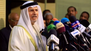 Amid warming to Israel, UAE urges halt to annexation plans