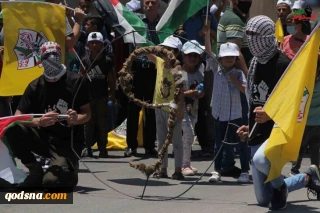 ۱۵ فلسطینی به ضرب گلوله نظامیان صهیونیست زخمی شدند