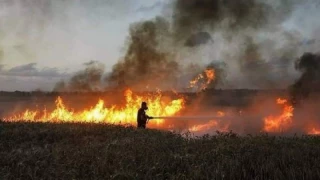مجازات اشغالگران همچنان ادامه دارد

ثبت 27 مورد آتش سوزی در شهرک های صهیونیست نشین مجاور غزه
