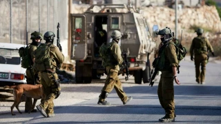 Israel is committing war crimes in Al-khalil, researcher says