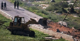 OCHA: Israeli settlers torched 1,000 olive trees in West Bank