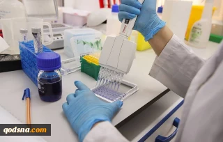 Palestine negotiating possible production of Russian Sputnik V vaccine - newspaper