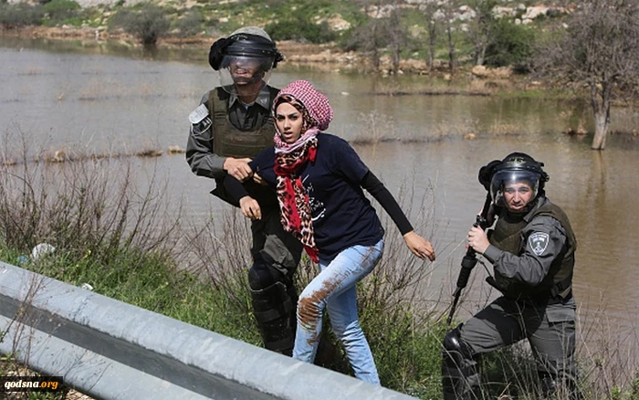 فلسطینی-1