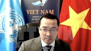 Vietnam backs upcoming elections in Palestine