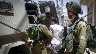 Amnesty hails ICC war crimes probe in Palestinian territories