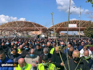 در ام الفحم برگزار شد:

تظاهرات فلسطینیان علیه اقدامات جنایتکارانه پلیس رژیم صهیونیستی 11