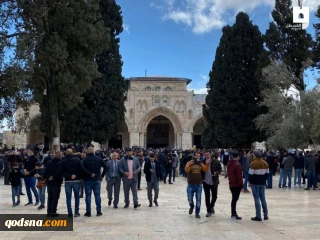 خطیب مسجدالاقصی:

هر کس از هر وجب از خاک فلسطین چشم پوشی کند، بازخواست خواهد شد