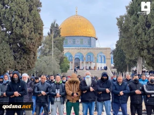 شرکت 23 هزار فلسطینی در نماز جمعه مسجدالاقصی/ سه فلسطینی در حمله نظامیان صهیونیست به روستای بیت دجن زخمی شدند
 2
