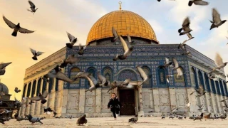 گزارش ویدیویی قدسنا از آخرین وضعیت فلسطین اشغالی/

بازداشت «براء السلایمة» زن فلسطینی در محله شیخ جراح در قدس اشغالی