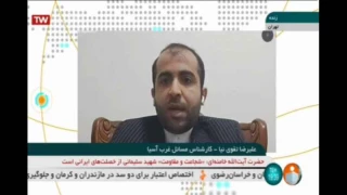 سناریویی که شکست خورد/ کشتی های حادثه دیده یا بازیگر؟