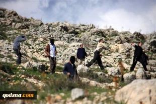 گزارشی از تحولات فلسطین/

بازداشت سه جوان در قدس اشغالی/ نظامیان صهیونیست به شرق طوباس حمله کردند 2