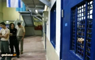 آخرین عناوین خبری صبح یکشنبه رسانه های فلسطینی (25 مهرماه)

بودجه هنگفت اسرائیل برای محافظت از شهرک های کرانه باختری/ انتشار جزییات جدید از عملیات فرار جلبوع/ شهادت یک آزاده فلسطینی درپی تیراندازی نظامیان صهیونیست/اعتصاب غذای 100 روزه 7 اسیر فلسطینی در زندان اشغالگران