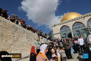 Palestinians celebrate Prophet Muhammad's birthday in Old City of Jerusalem
 3