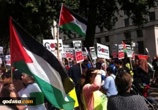 نمایندگان و شخصیت‌های برزیلی تروریست خواندن حماس در انگلیس را محکوم کردند