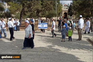 منابع فلسطینی و صهیونیستی اعلام کردند:

تعرض بیش از 34 هزار شهرک نشین به حریم مسجد الاقصی در سال 2021