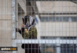 هیات امور اسرا و آزادگان فلسطین گزارش داد:

اسارت 33 بانوی فلسطینی در زندان رژیم صهیونیستی در شرایطی سخت و ناگوار